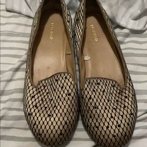 Lacy gold are you bold?